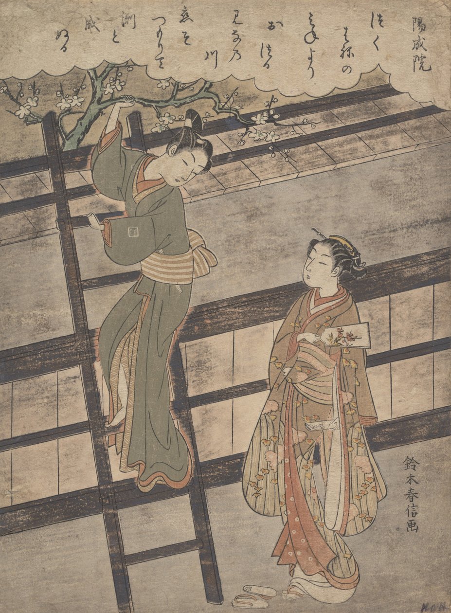 Członek podatku nocnego, ? 1766. , komar. 1766. autorstwa Suzuki Harunobu