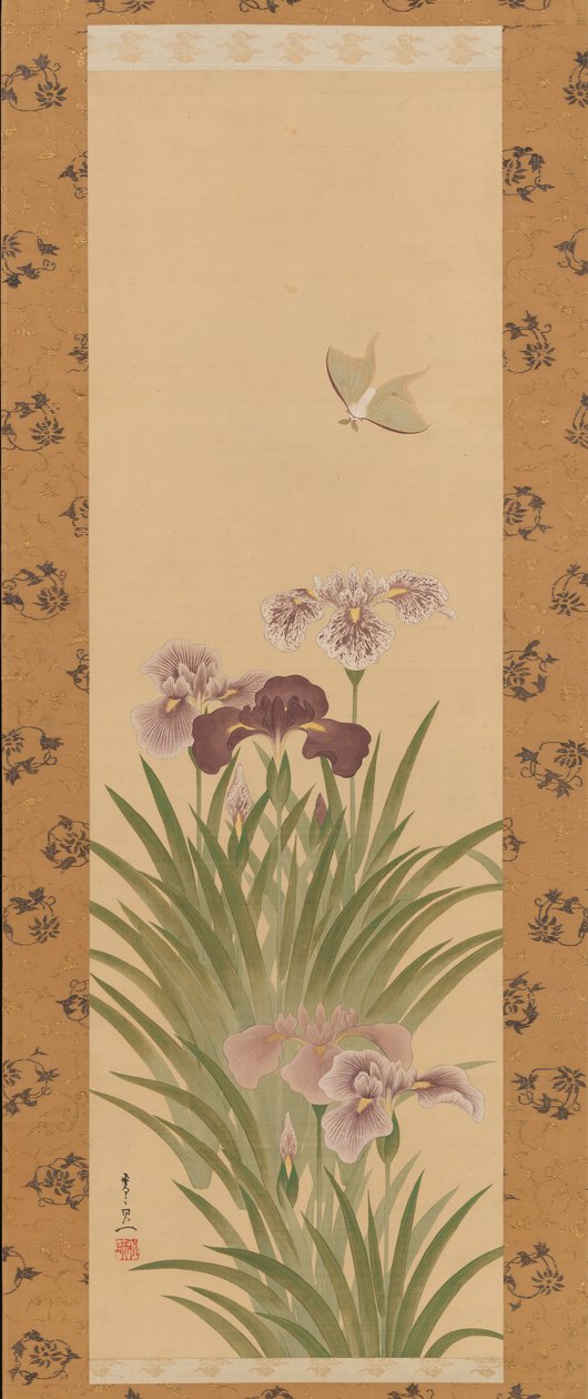 Irysy i ćma, ca. 1850. autorstwa Suzuki Kiitsu