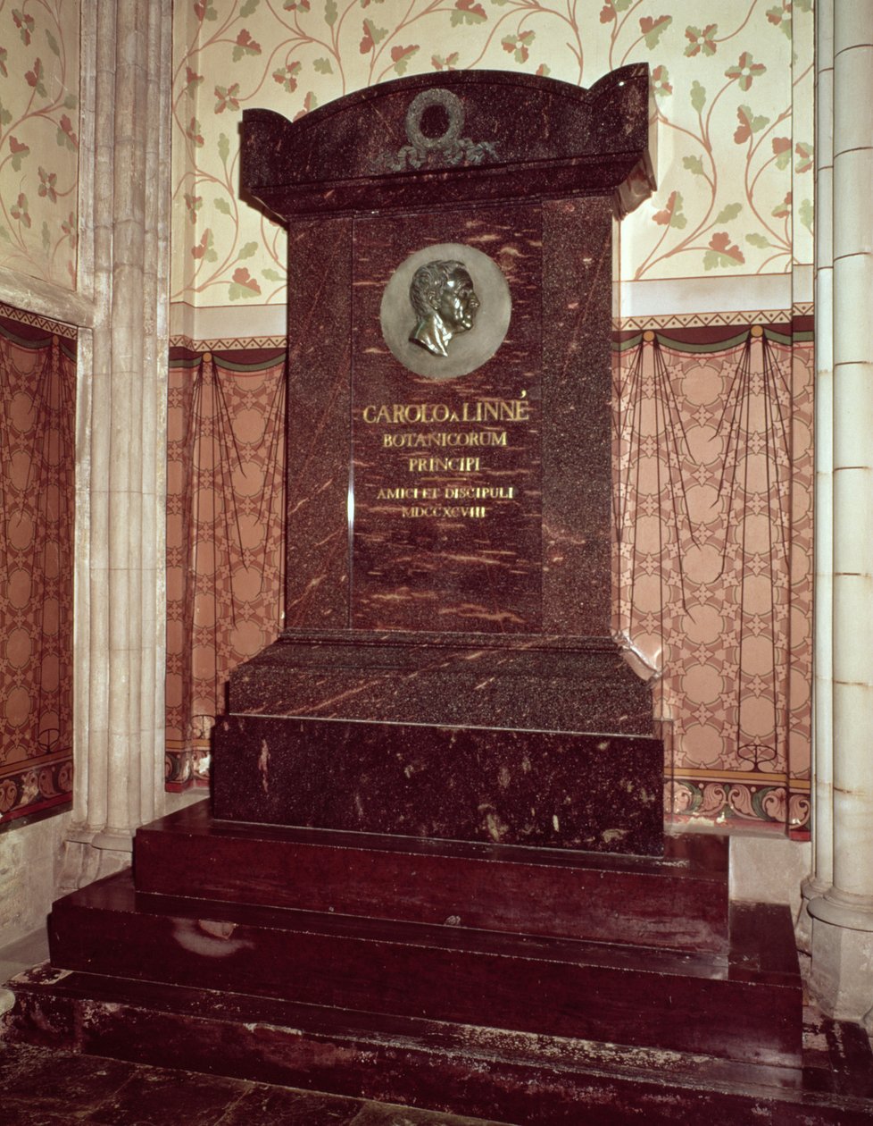 Grób Karola Linneusza (1707-1778) autorstwa Swedish School
