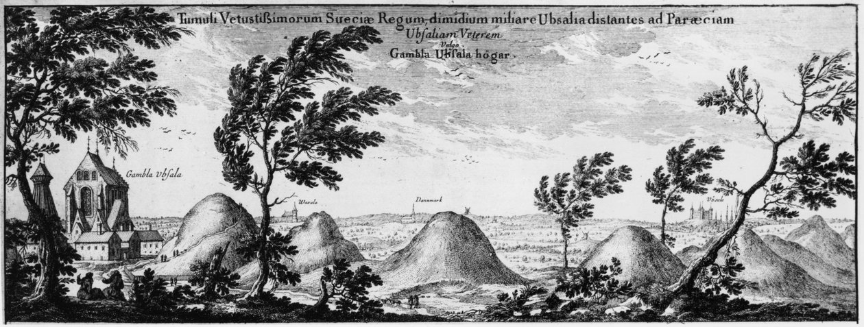 Kopce pogrzebowe w Uppsali, Szwecja autorstwa Swedish School
