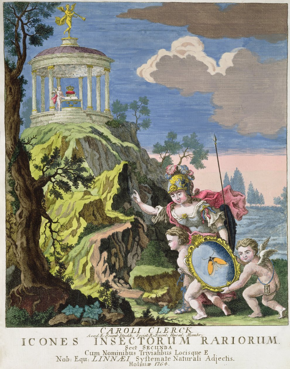 Frontyspis ikon Insects Rariorum autorstwa C. Clerck, Szwecja, 1764 autorstwa Swedish School