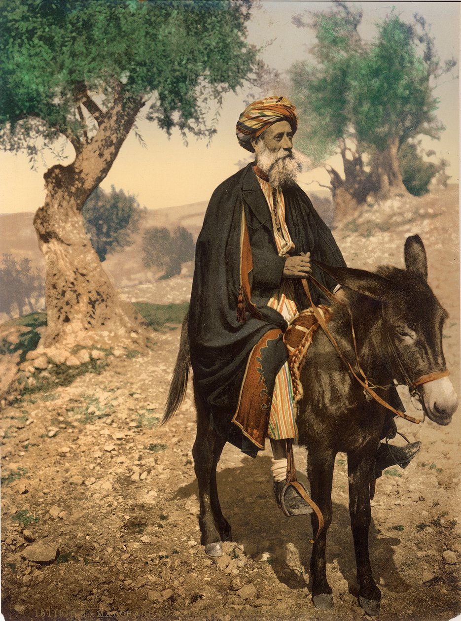 Arab z Betlejem na swoim osiołku, ok. 1880-1900 (fotochrom) autorstwa Swiss Photographer