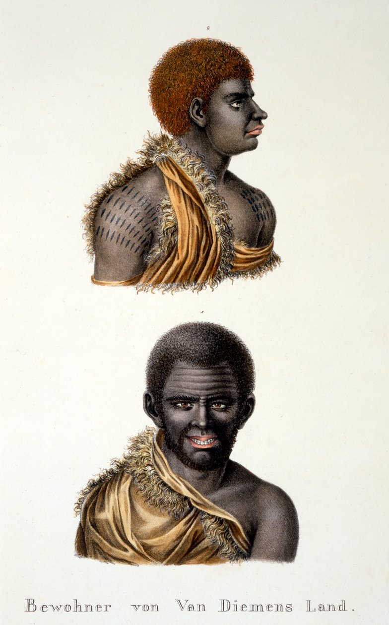 Mieszkańcy Ziemi Van Diemena, czyli tzw. Tasmania, z Etnologicznego Studium różnych typów rasowych z różnych kontynentów, autorstwa C.I. Brodtmann, 1824 autorstwa Swiss School