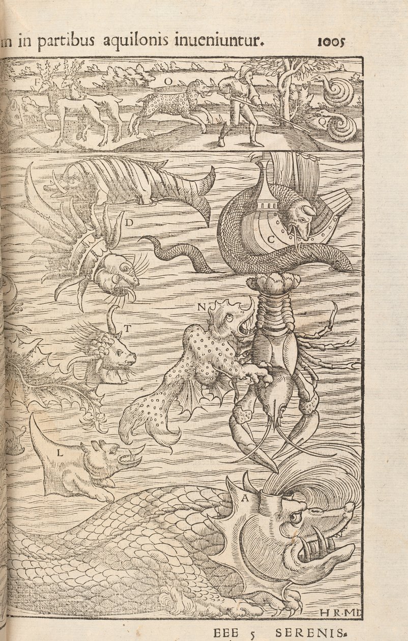 Strona 1005 z Cosmographiae Universalis Sebastiana Muenstera, Bazylea, 1572 autorstwa Swiss School