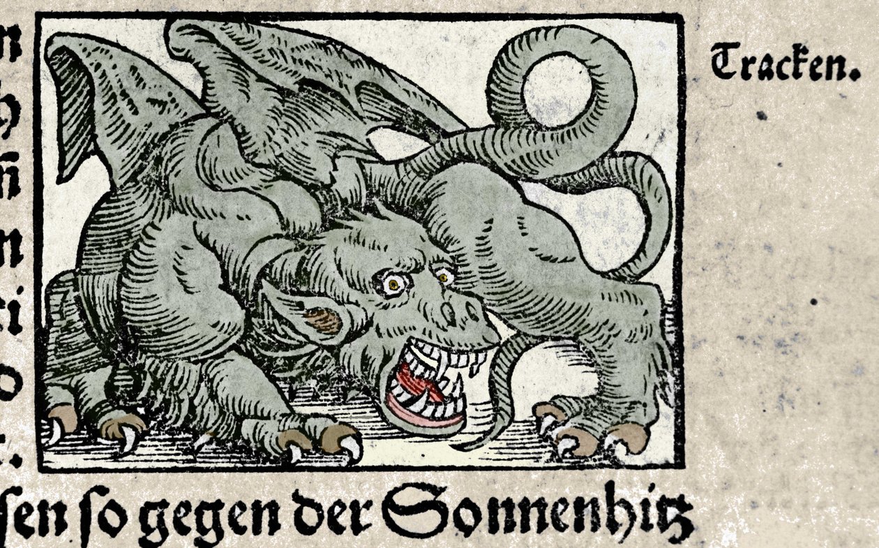 Przedstawienie smoka: grawerunek z „Den Noble Strict Best Fromen” Johanna Stumpffa. 1550 autorstwa Swiss School