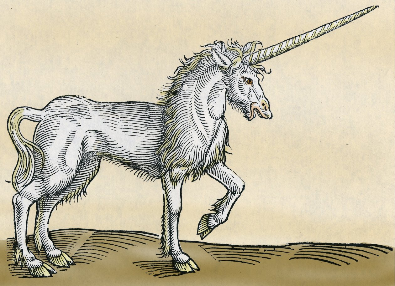 Jednorożec, ilustracja z Historii Animalium autorstwa Conrada Gesnera, 1551 autorstwa Swiss School