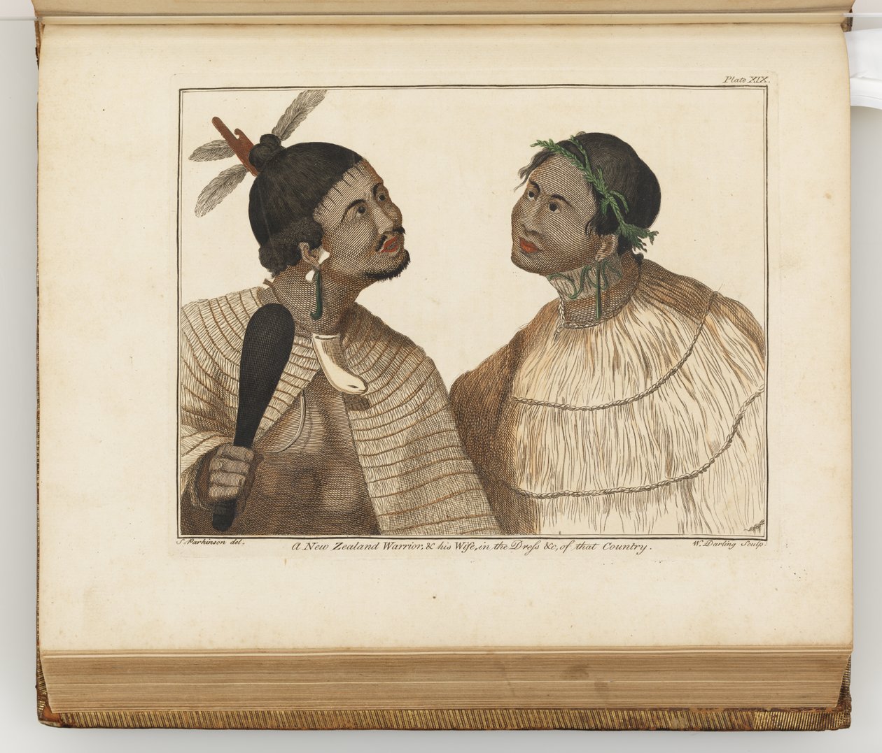 Nowozelandzki wojownik i jego żona, ilustracja z Dziennika podróży na morza południowe : na statku Jego Majestys, The Endeavour, 1794 (ręcznie kolorowane grawerowanie) autorstwa Sydney