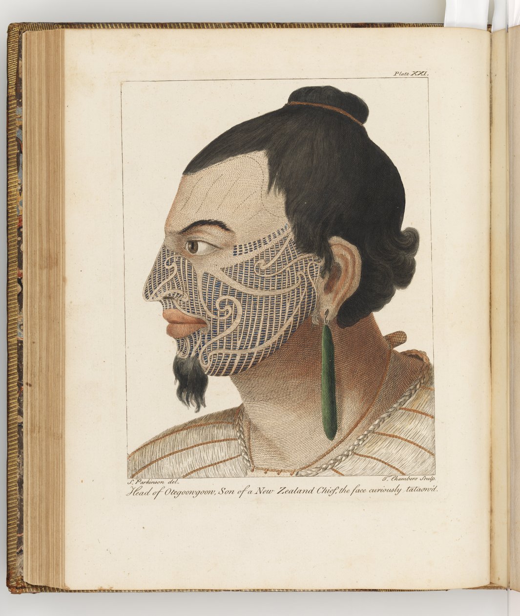 Głowa Otegoongoon, ilustracja z Dziennika podróży na morza południowe : na statku Jego Królewskiej Mości, The Endeavour, 1794 (ręcznie barwiony grawerunek) autorstwa Sydney