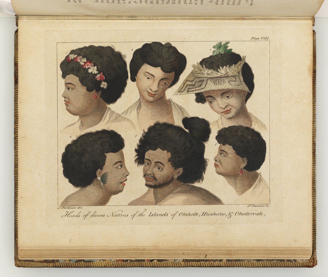 Głowy różnych tubylców, ilustracja z Dziennika podróży na morza południowe : na statku Jego Królewskiej Mości, The Endeavour, 1794 (kolorowane ręcznie) autorstwa Sydney