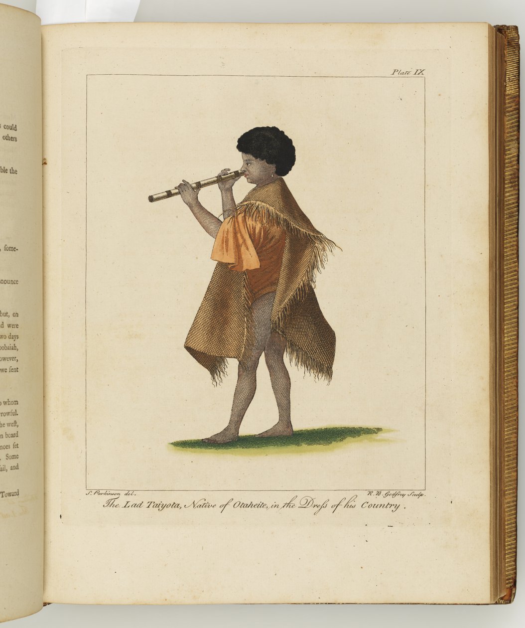 Ilustracja z Dziennika podróży na morza południowe: na statku Jego Królewskiej Mości, The Endeavour, 1794 (ręcznie kolorowane grawerowanie) autorstwa Sydney