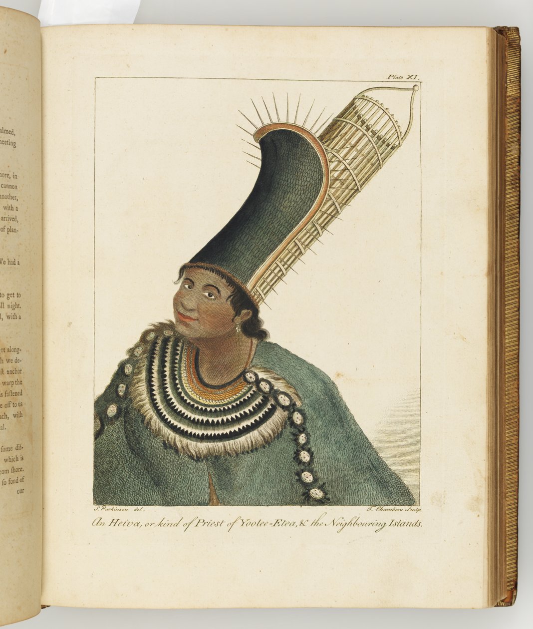 Ilustracja z Dziennika podróży na morza południowe: na statku Jego Królewskiej Mości, The Endeavour, 1794 (ręcznie kolorowane grawerowanie) autorstwa Sydney
