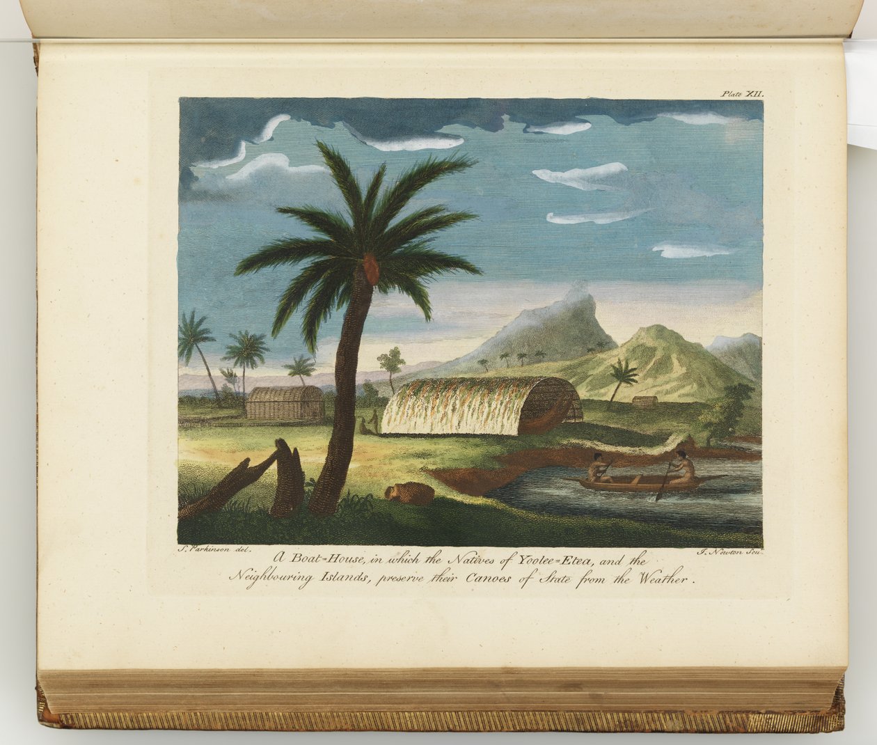 Ilustracja z Dziennika podróży na morza południowe: na statku Jego Królewskiej Mości, The Endeavour, 1794 (ręcznie kolorowane grawerowanie) autorstwa Sydney