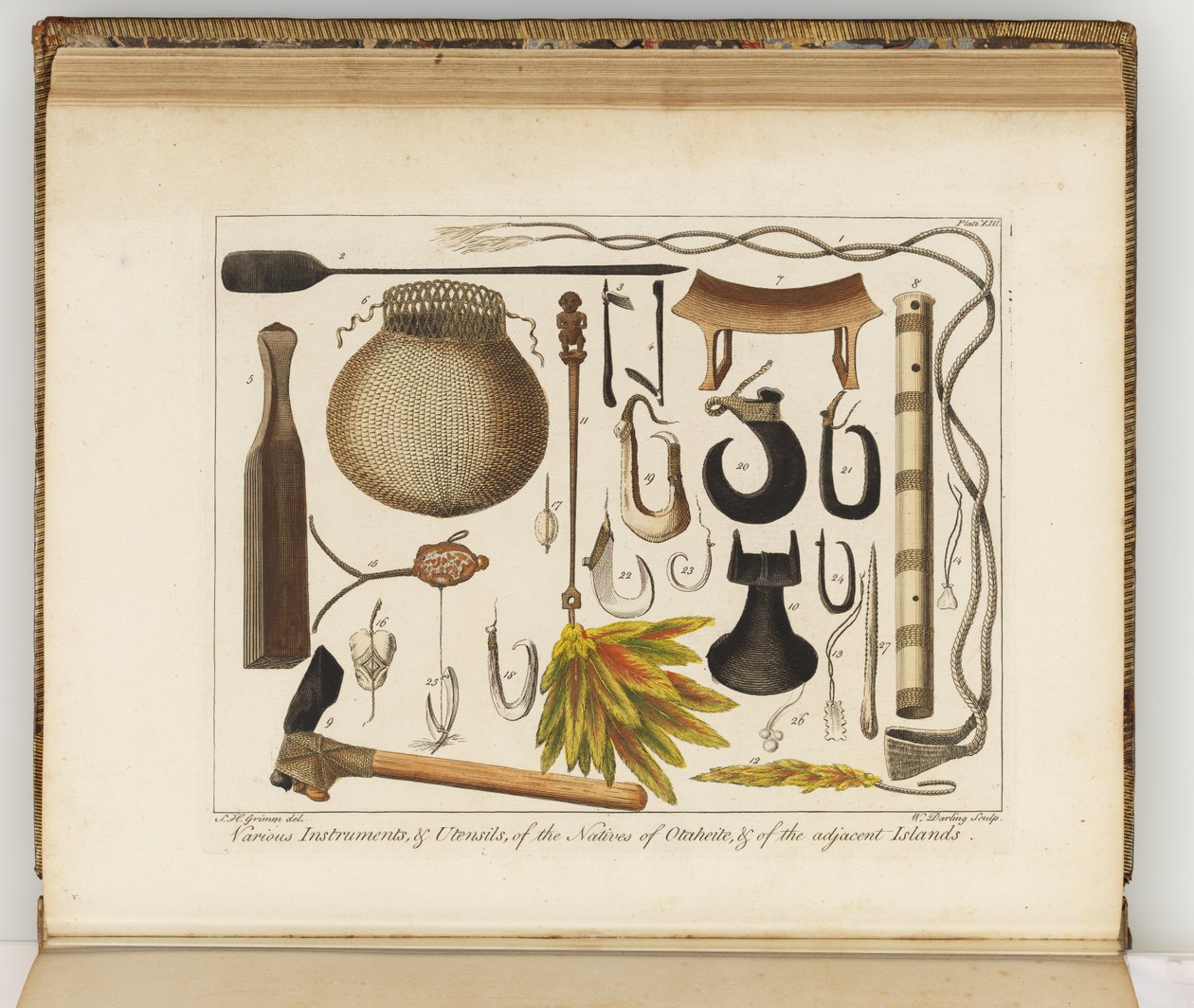 Ilustracja z Dziennika podróży na morza południowe: na statku Jego Królewskiej Mości, The Endeavour, 1794 (ręcznie kolorowane grawerowanie) autorstwa Sydney