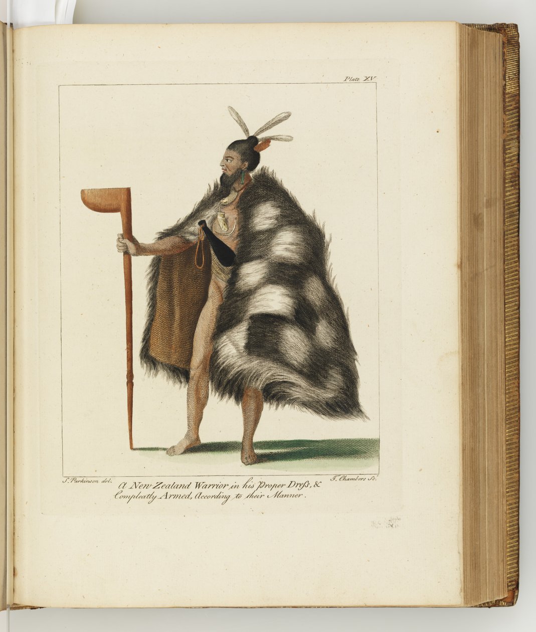 Ilustracja z Dziennika podróży na morza południowe: na statku Jego Królewskiej Mości, The Endeavour, 1794 (ręcznie kolorowane grawerowanie) autorstwa Sydney