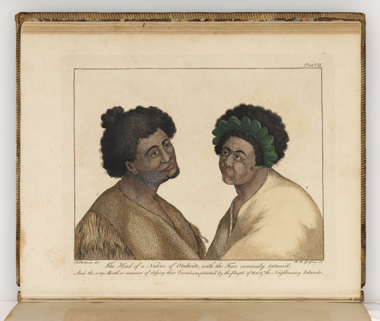 Głowa rodaka z Otaheite, ilustracja z Dziennika podróży na morza południowe : na statku Jego Królewskiej Mości, The Endeavour, 1794 (rycina ręcznie kolorowana) autorstwa Sydney