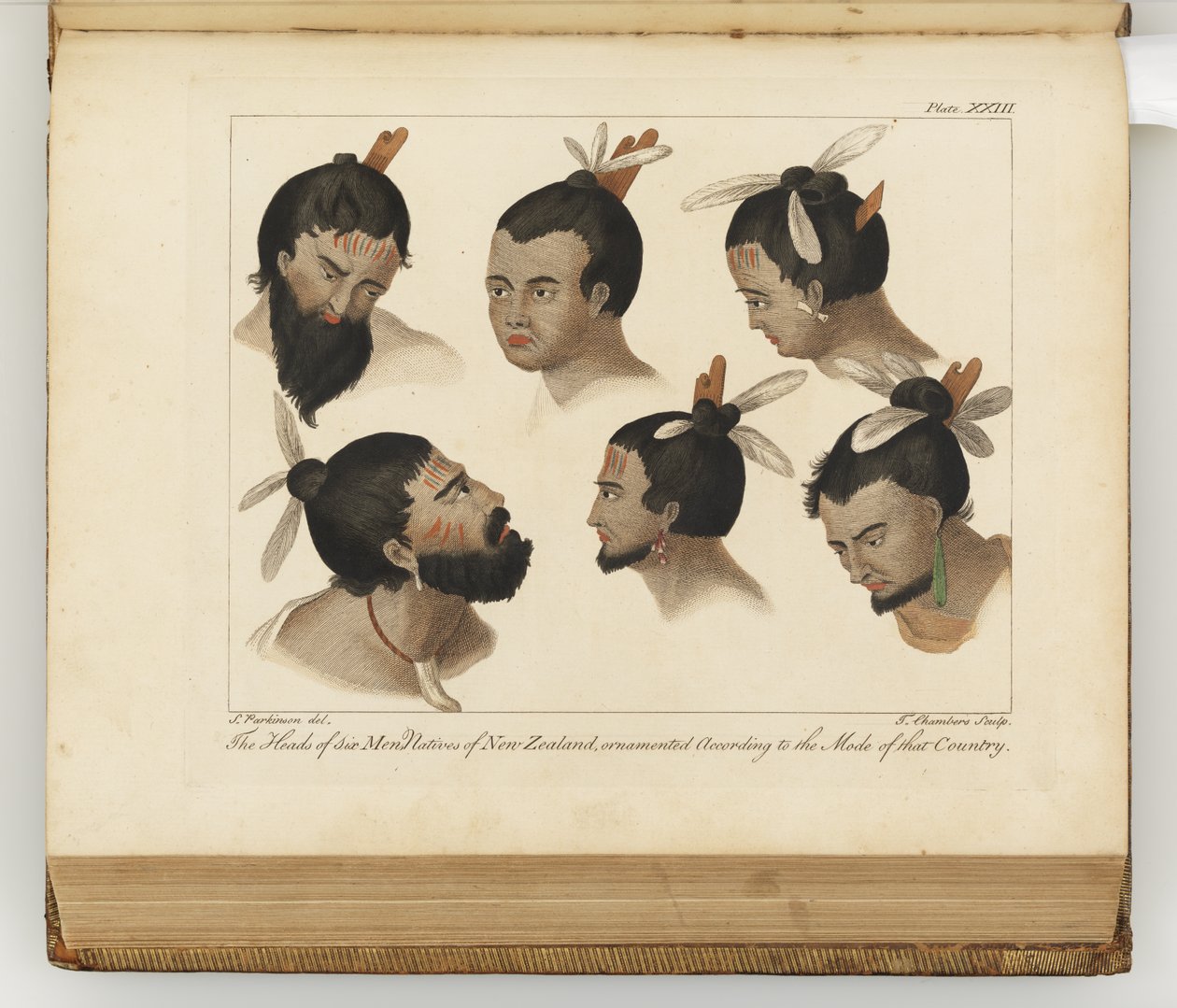 Głowy sześciu mężczyzn, ilustracja z Dziennika podróży na morza południowe : na statku Jego Królewskiej Mości The Endeavour, 1794 (ręcznie kolorowana grawerunek) autorstwa Sydney