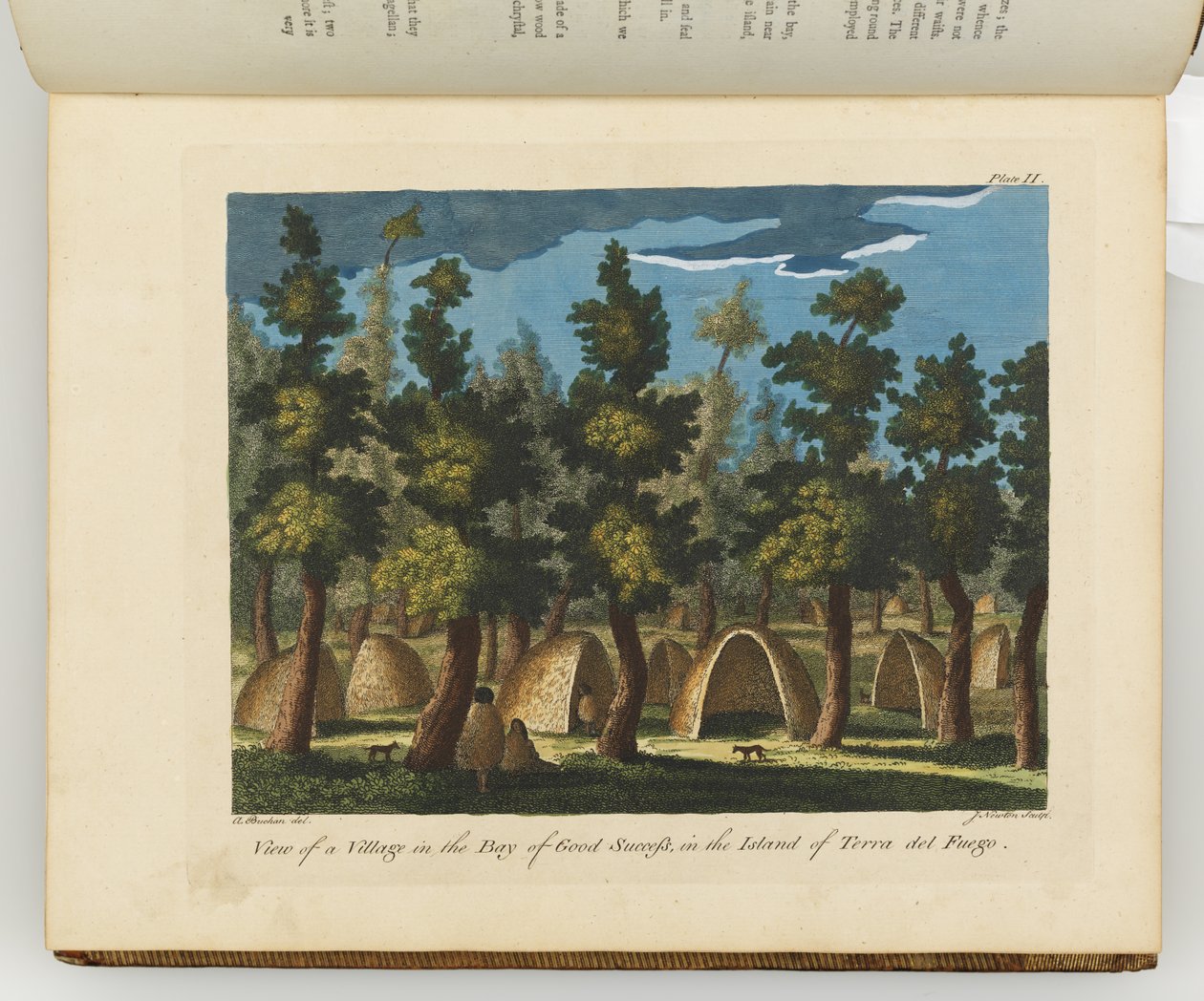 Ilustracja z „Dziennika podróży na morza południowe: na statku Jego Królewskiej Mości The Endeavour” autorstwa Sydney (after) Parkinson