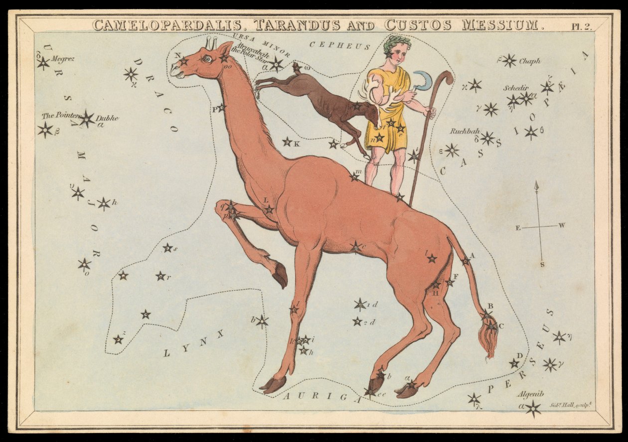 Camelopadalis, Tarandus i Custos Messium, ok. 1825 (karta, papier, bibułka) autorstwa Sydney Hall