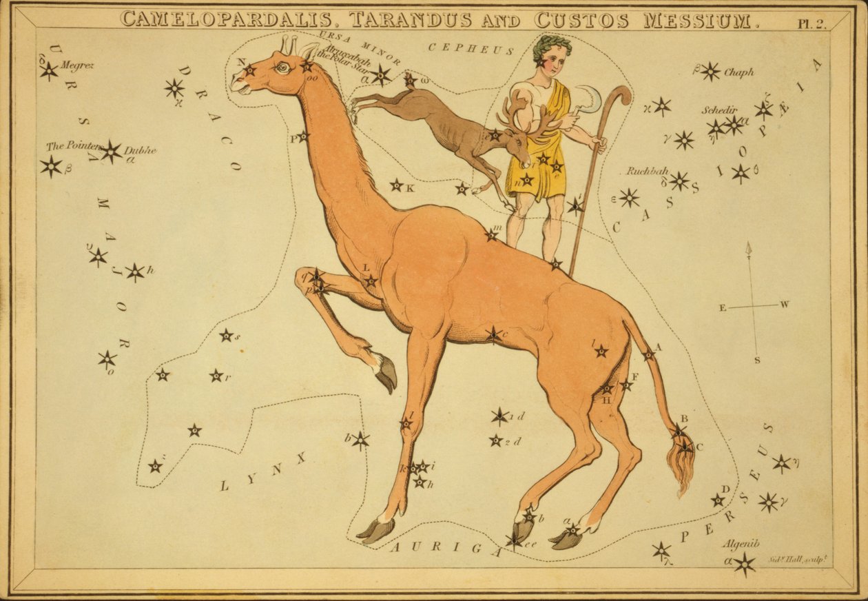 Camelopardalis, Tarandus i Custos Messium, ilustracja z „Zwierciadła Urania” autorstwa Sydney Hall