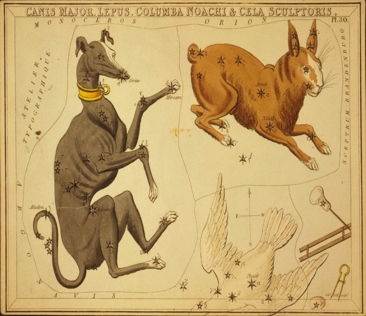 Canis Major, Królik, Columba Noah i Cela Rzeźbiarz, Ilustracja z „Zwierciadła Urania” autorstwa Sydney Hall