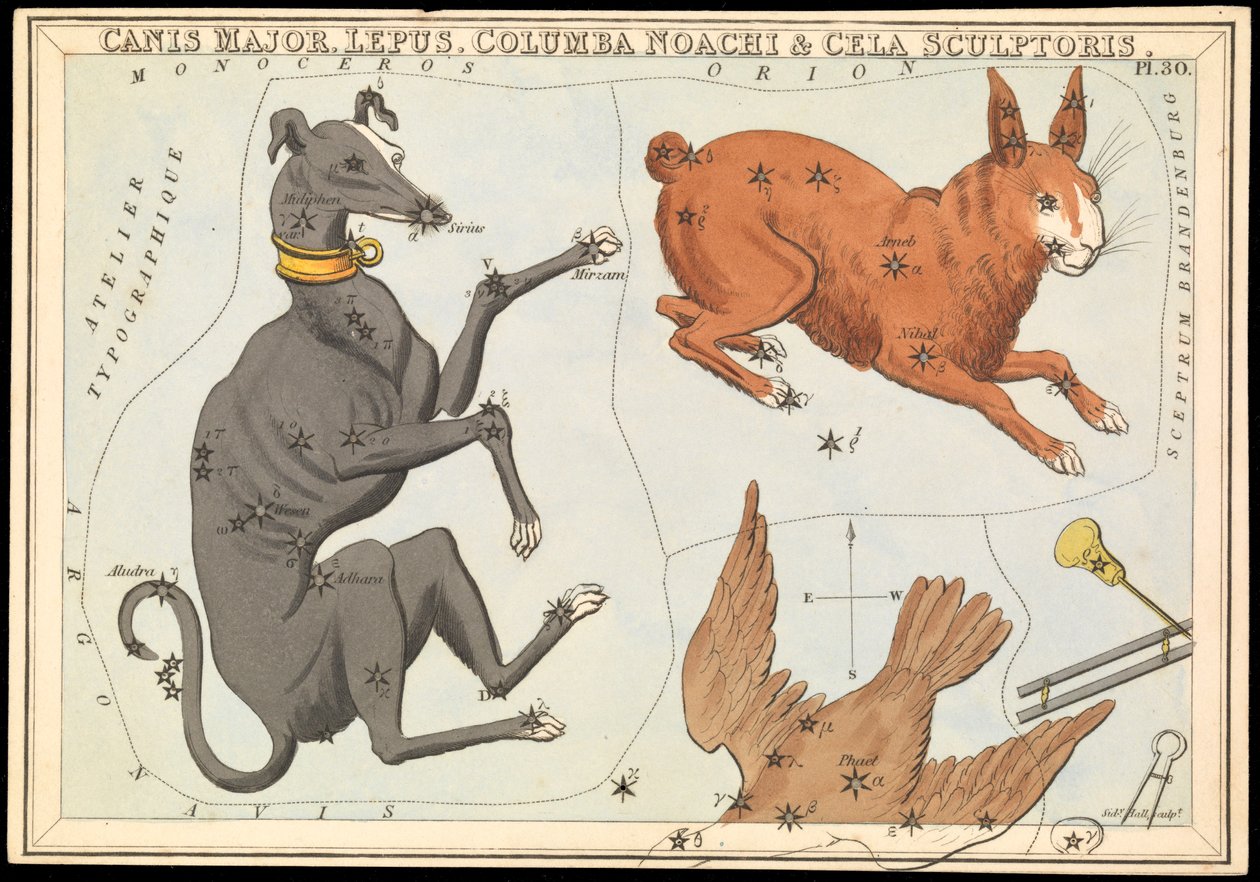 Canis Major. Lepus, Columba Noachi  Cela Sculptoris, ok. 1825 (karta, papier, bibułka) autorstwa Sydney Hall