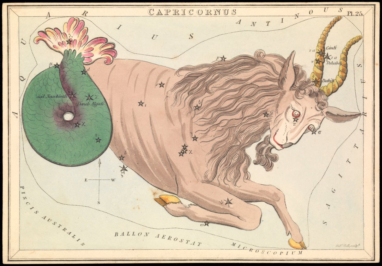 Capricornus, ok. 1825 (karta, papier, bibułka) autorstwa Sydney Hall
