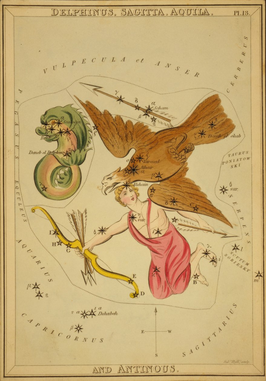 Delphinus, Sagitta, Aquila i Antinous, ilustracja z „Zwierciadła Urania” autorstwa Sydney Hall