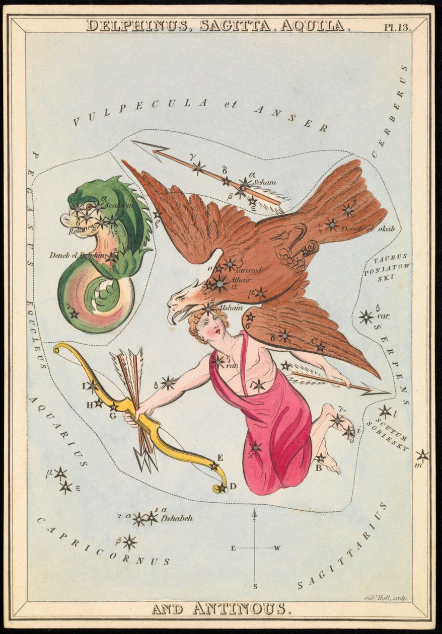 Delphinus, Sagitta, Aquila i Antinous, ok. 1825 (karta, papier, bibułka) autorstwa Sydney Hall