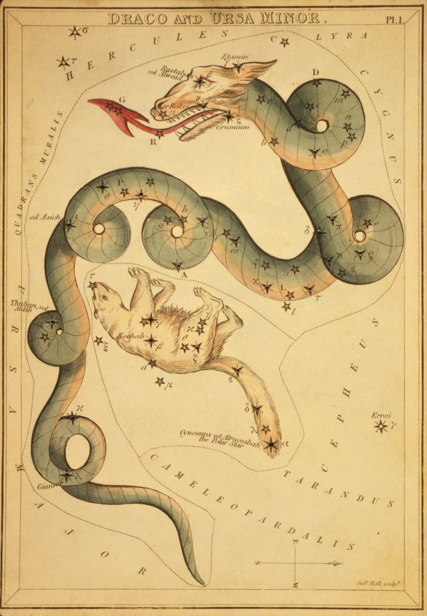 Draco i Ursa Minor, ilustracja z „Zwierciadła Urania” autorstwa Sydney Hall