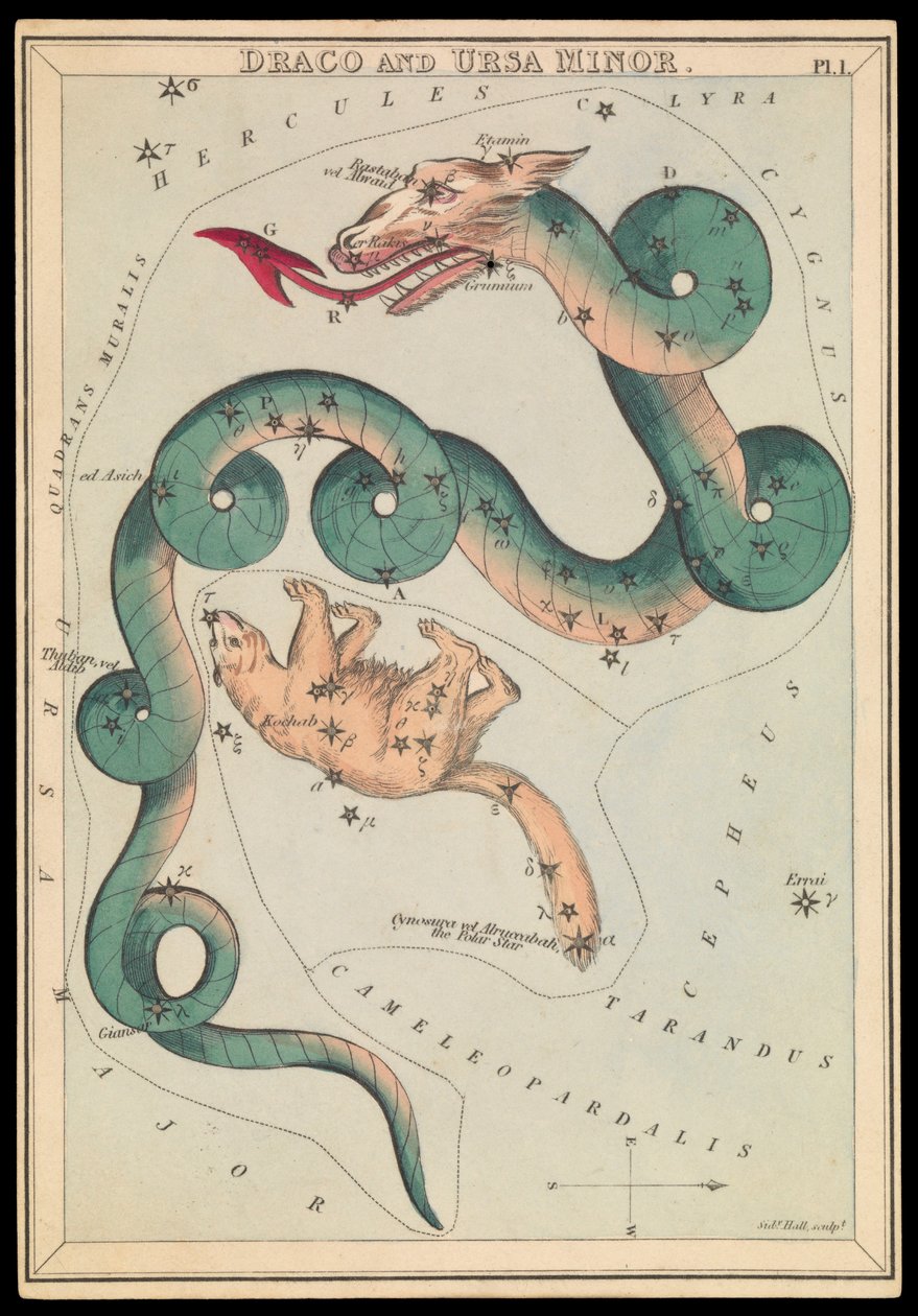 Draco i Ursa Minor, ok. 1825 r. (karta, papier, bibułka) autorstwa Sydney Hall