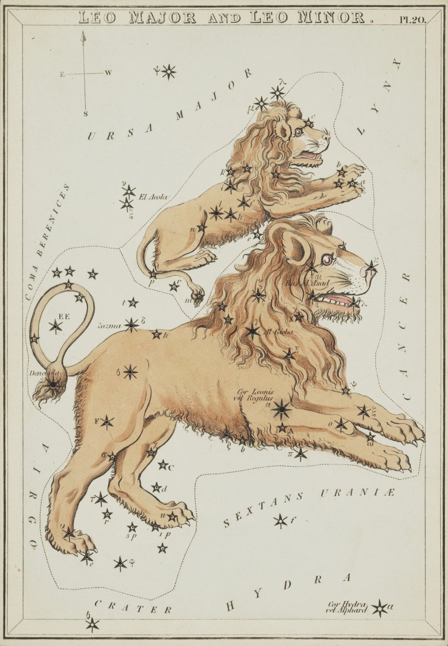 Leo Major i Leo Minor, ilustracja z „Zwierciadła Urania” autorstwa Sydney Hall