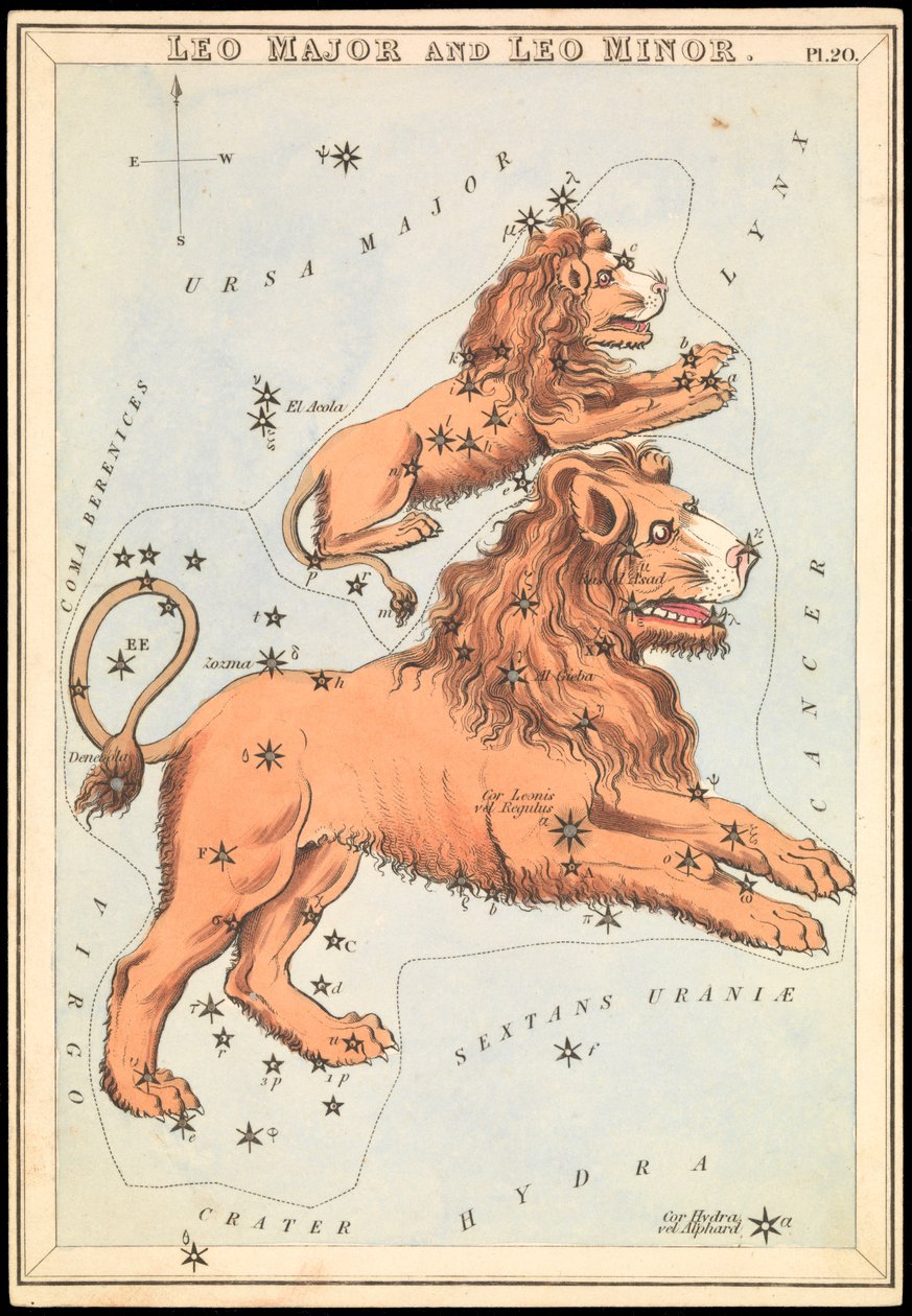 Leo Major i Leo Minor, ok. 1825 r. (karta, papier, bibułka) autorstwa Sydney Hall