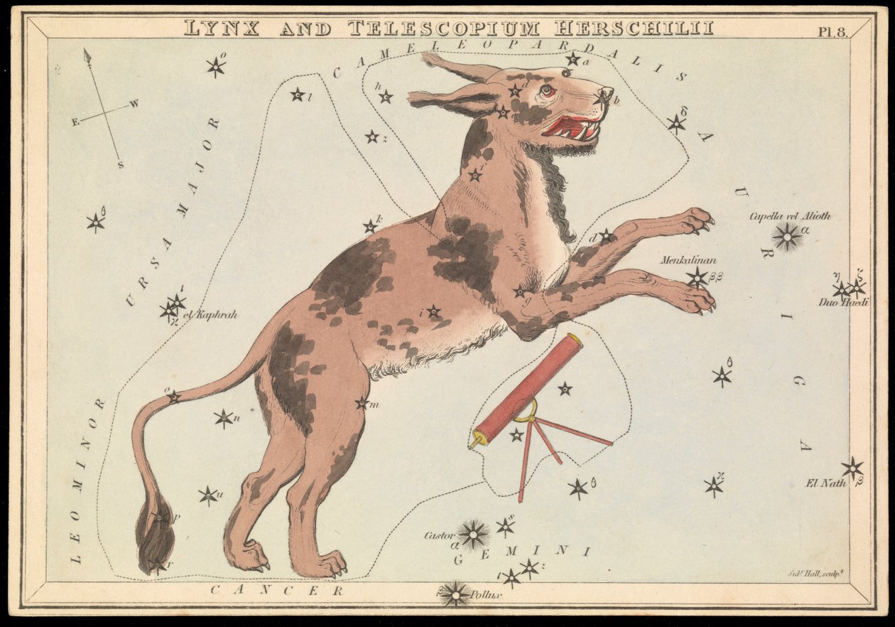 Ryś i Telescopium Hereschilii, ok. 1825 r. (karta, papier, bibułka) autorstwa Sydney Hall