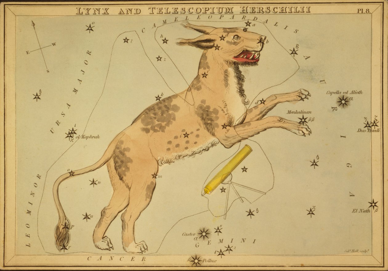 Ryś i Telescopium Herschilii, ilustracja z „Zwierciadła Urania” autorstwa Sydney Hall
