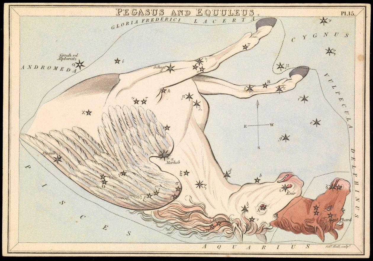Pegaz i Equuleus, ok. 1825 r. (karta, papier, bibułka) autorstwa Sydney Hall