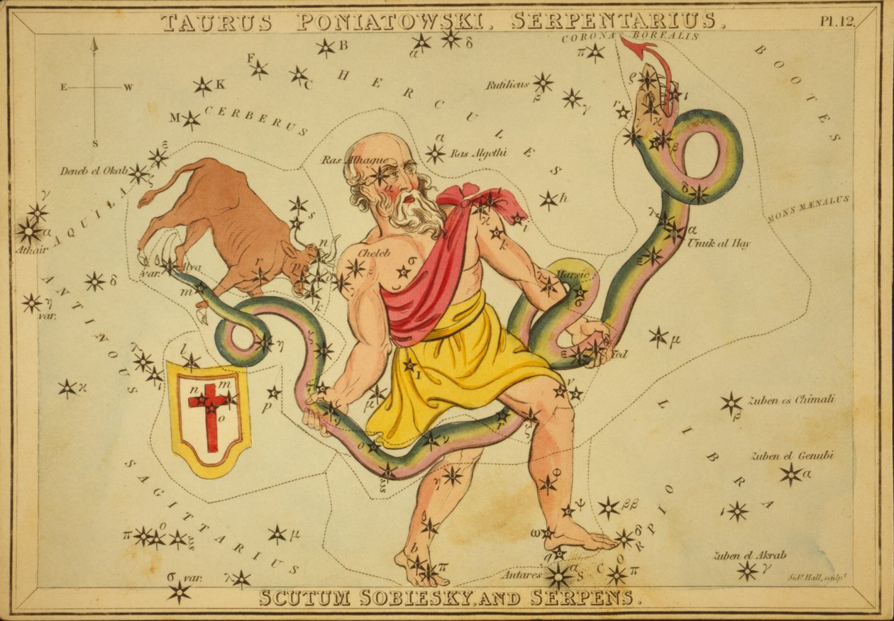 Byk Poniatowski, Serpentarius, Scutum Sobiesky i Serpens, ilustracja z „Zwierciadła Urania” autorstwa Sydney Hall