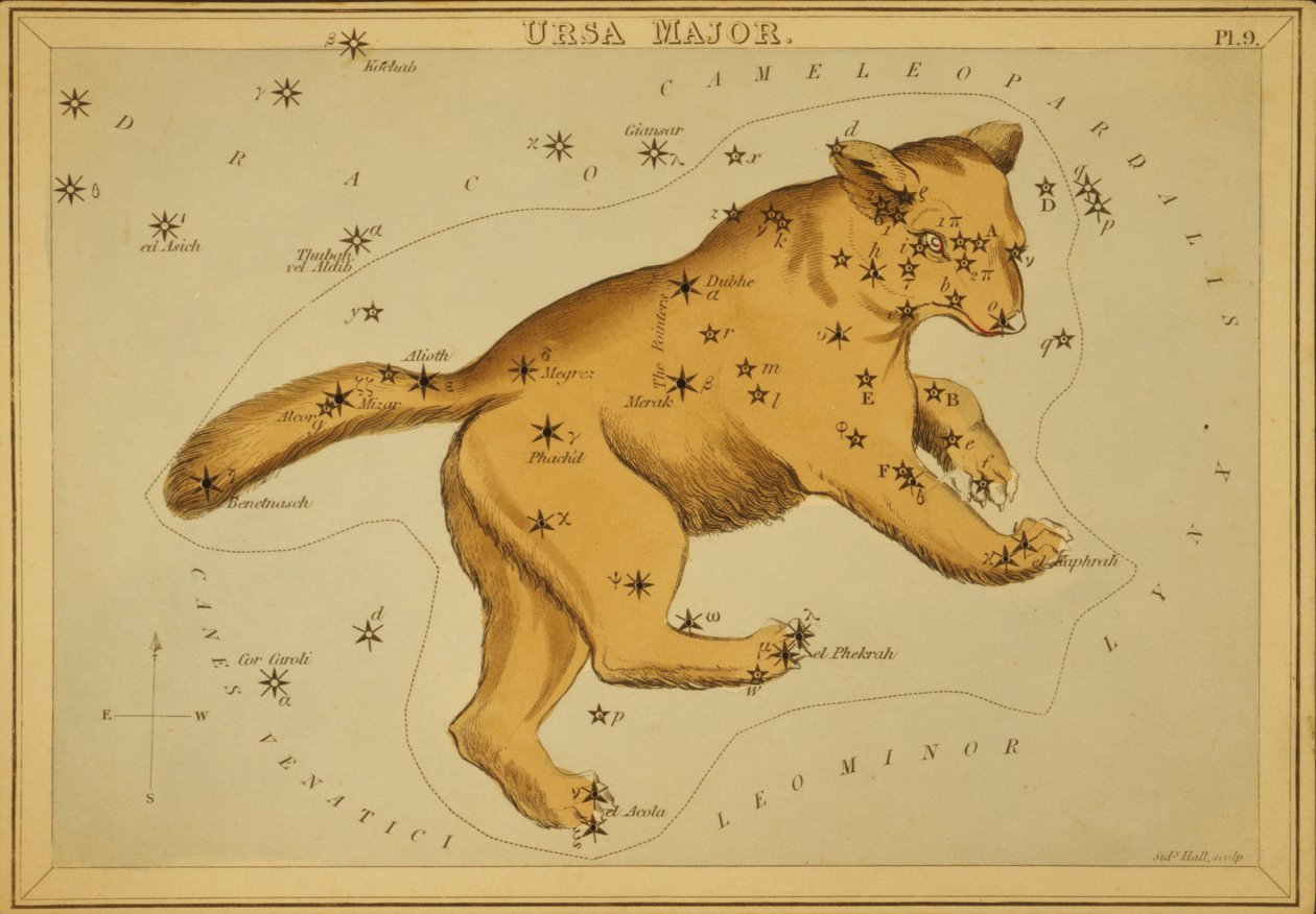 Wielka Niedźwiedzica, ilustracja z „Zwierciadła Urania” autorstwa Sydney Hall