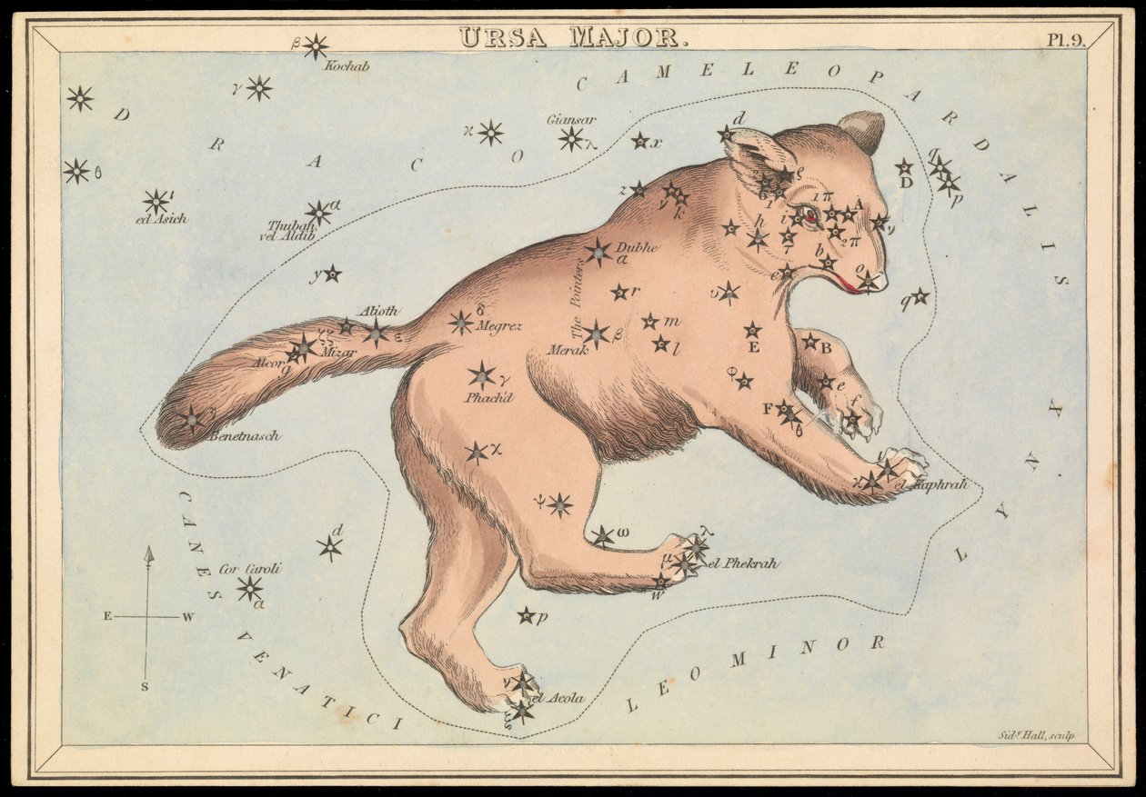 Ursa Major, ok. 1825 r. (karta, papier, bibułka) autorstwa Sydney Hall
