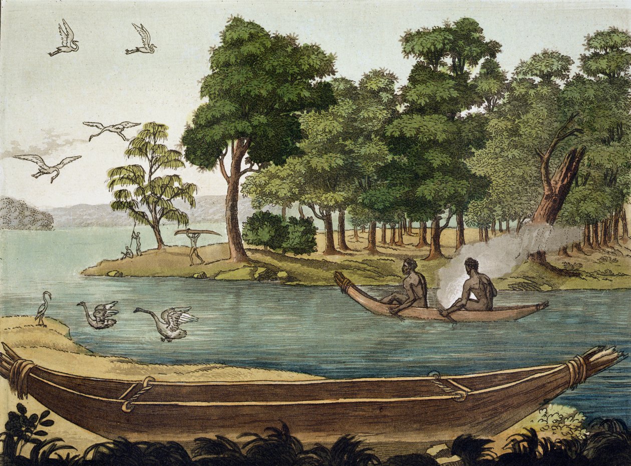 Metoda nawigacji w Nowej Holandii, grawerowana przez F. Fumagallego, ilustracja z kolekcji książek podróżniczych z początku XIX wieku autorstwa Sydney Parkinson