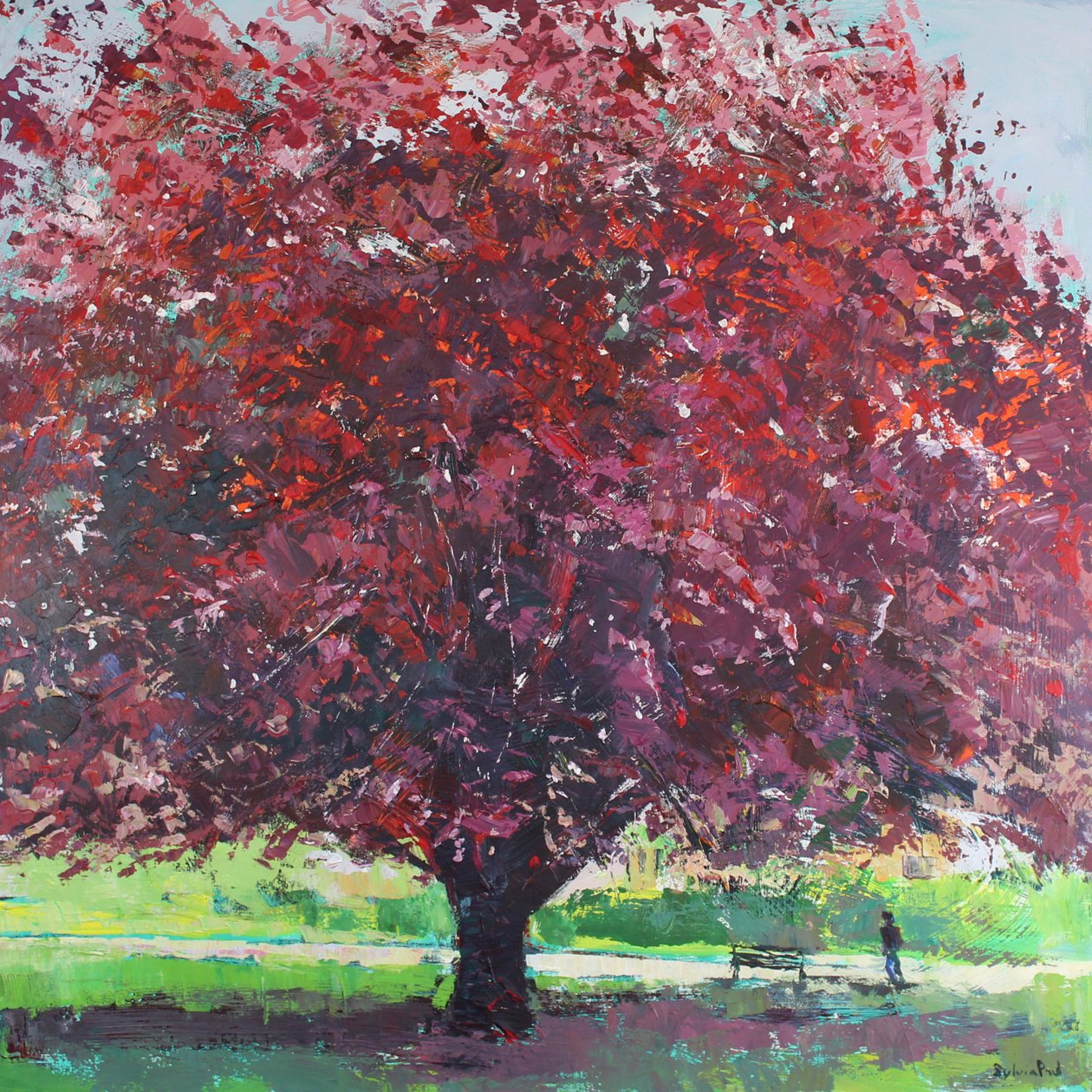  autorstwa Sylvia Paul
