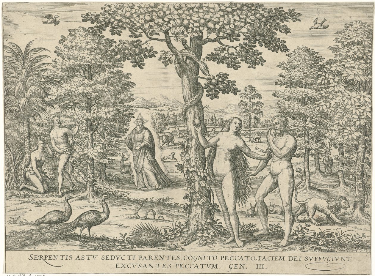 Zondeval Ryciny i obrazy książek (tytuł serii) autorstwa Symon Novelanus (attributed to)