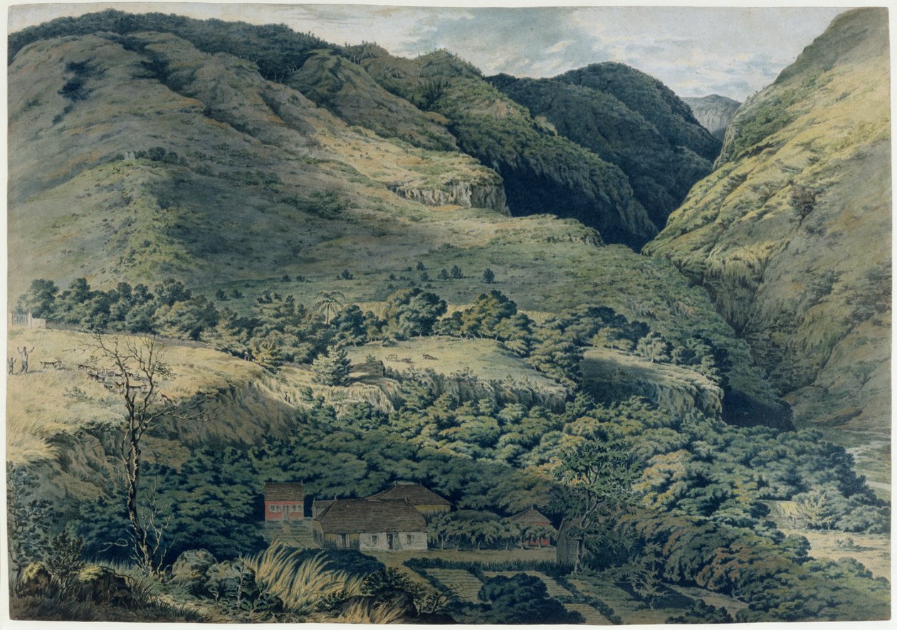Wąwóz i rzeka w St. Denis, Bourbon, 1814 autorstwa T. Bradshaw