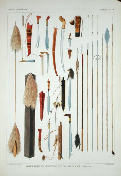 Broń z Borneo, z „Dyskursów o historii naturalnej holenderskich posiadłości zamorskich”, tom I, autorstwa Coenraada Jacoba Temmincka, rytowana przez J.M. Kierdorff, wydana 1839-44 (litografia kolorowa) autorstwa T.C. (after) Bruining