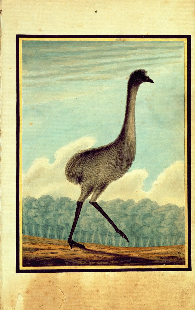 Emue (sic!), 1813 autorstwa T.R. Browne