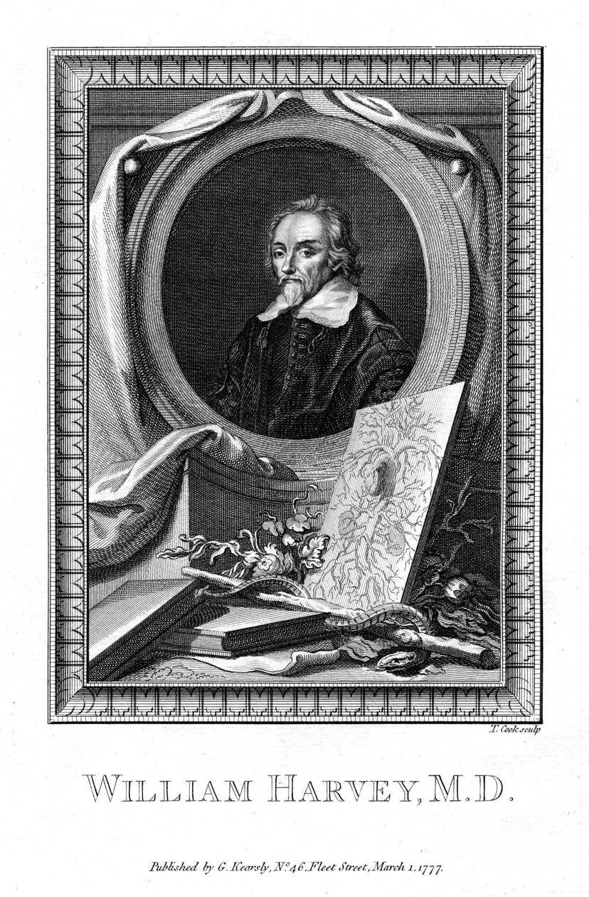 William Harvey, lekarz medycyny, 1777. autorstwa T. Cook