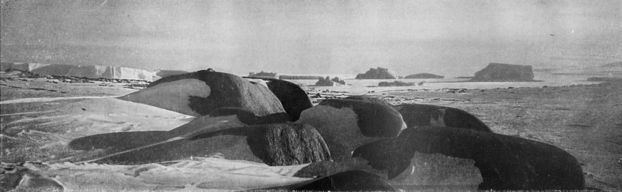 Bloki granitowe strugane przez starożytne lodowce w Cape Roberts, c1911, 1913. autorstwa T. Griffith Taylor