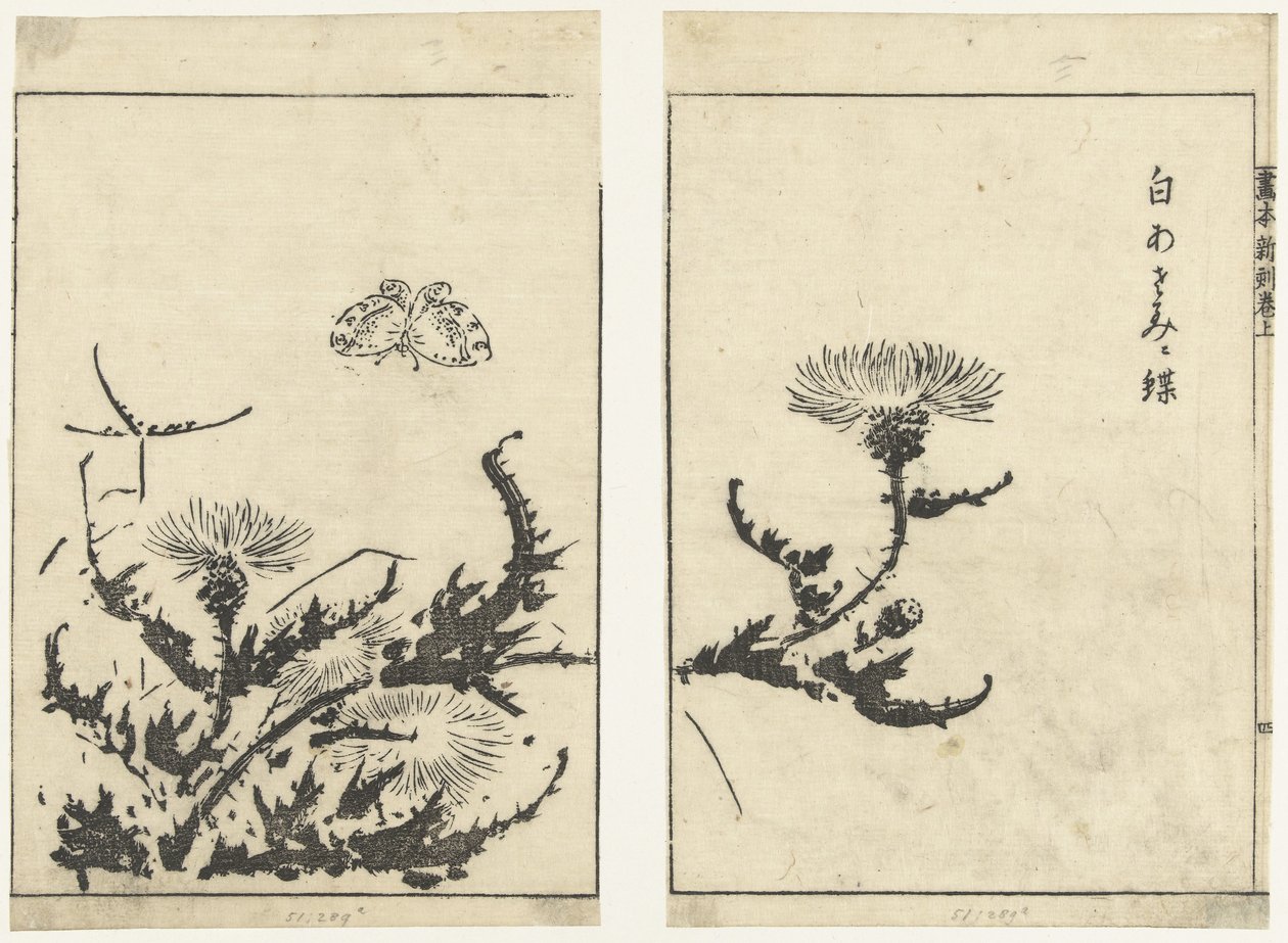 di s tel s en v w r gahon shinkoku makiage (seria) autorstwa Tachibana Morikuni (attributed to)