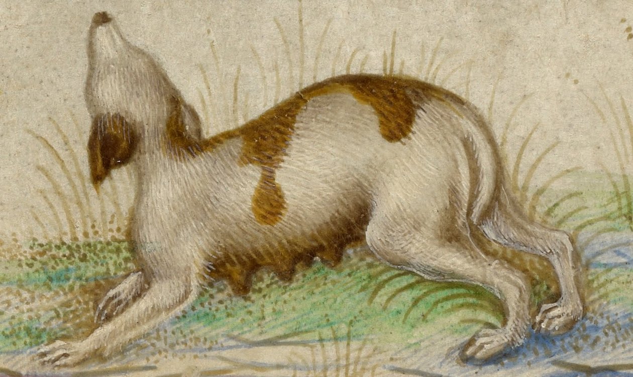 godziny autorstwa Taddeo Crivelli