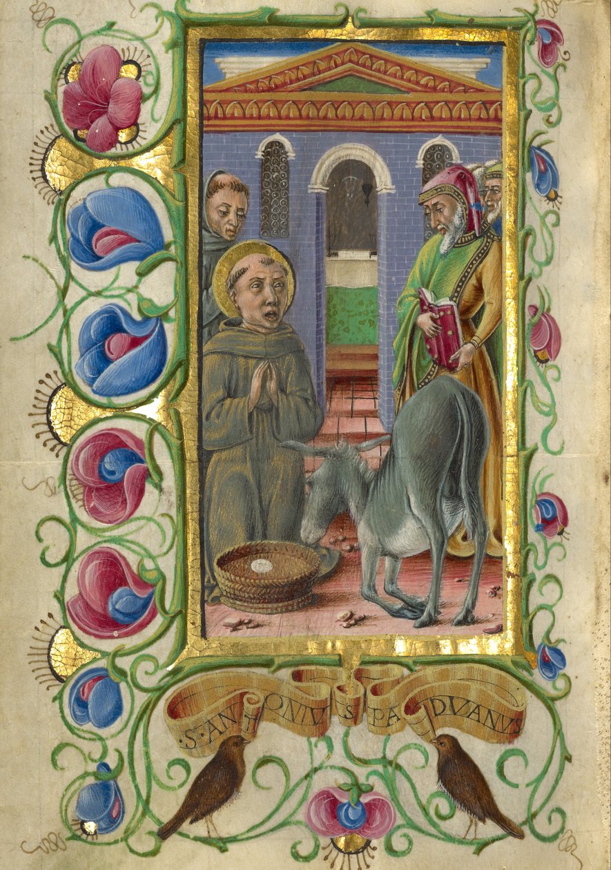 Sir Antoni z Padwy autorstwa Taddeo Crivelli