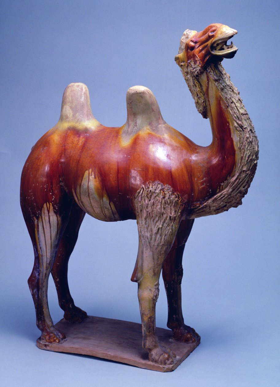 Camel, dynastia Tang (ceramika szkliwiona polichromią) autorstwa Tang Dynasty Chinese School